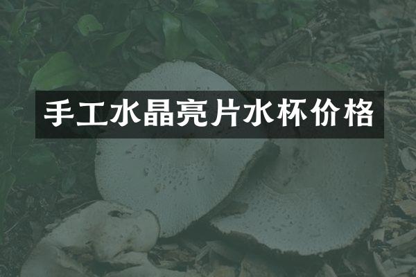 手工水晶亮片水杯价格