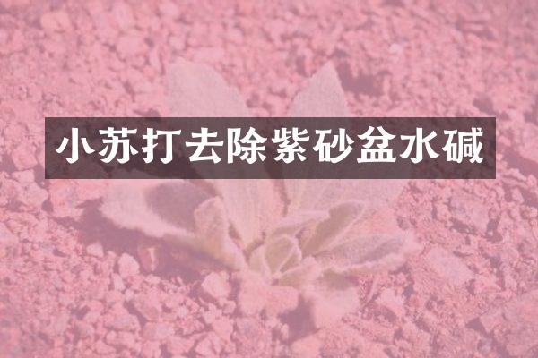 小苏打去除紫砂盆水碱