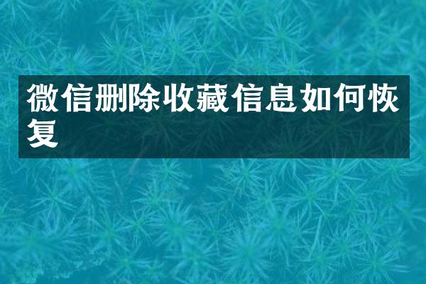 微信删除收藏信息如何恢复