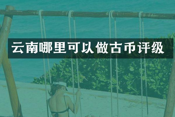 云南哪里可以做古币评级