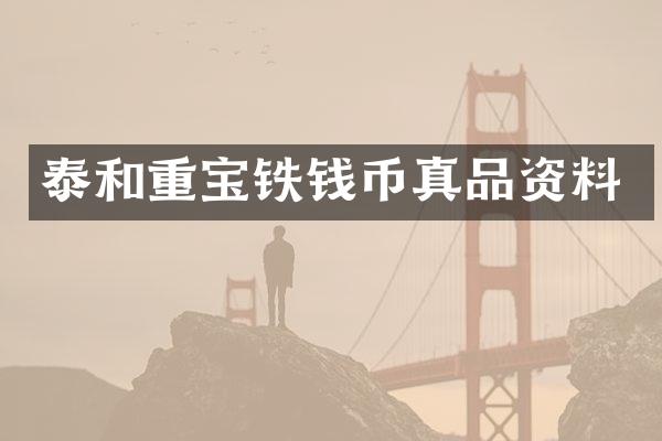 泰和重宝铁钱币真品资料