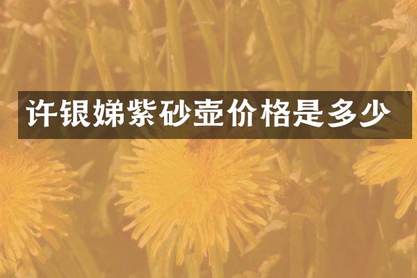 许银娣紫砂壶价格是多少