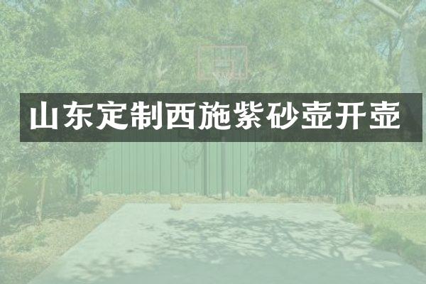 山东定制西施紫砂壶开壶