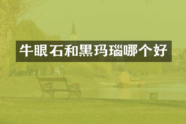 牛眼石和黑玛瑙哪个好
