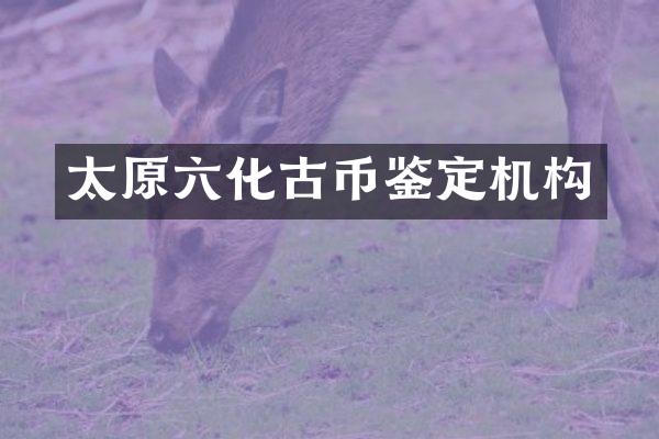 太原六化古币鉴定机构