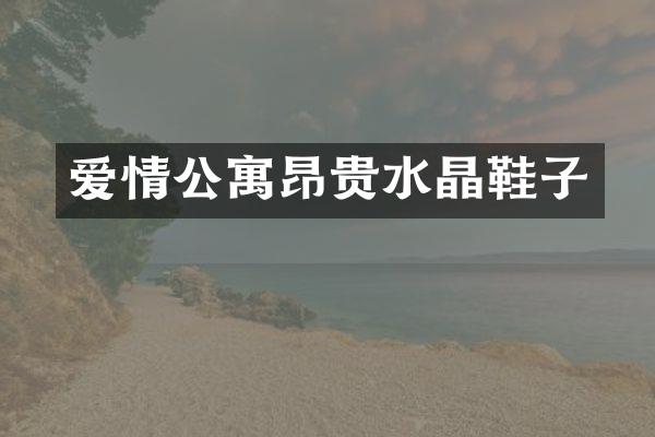 爱情公寓昂贵水晶鞋子