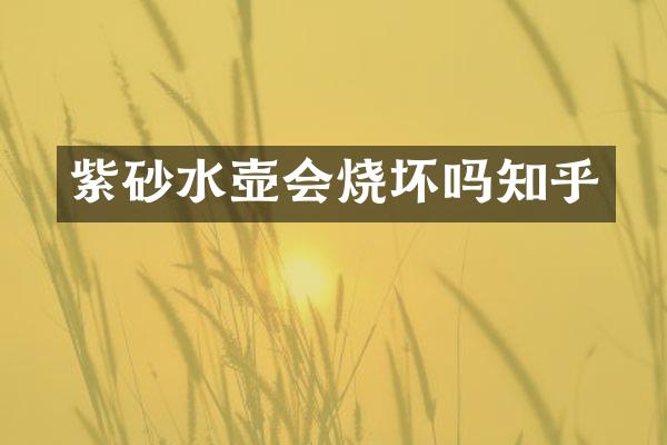 紫砂水壶会烧坏吗知乎