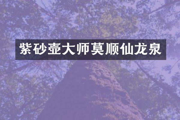 紫砂壶大师莫顺仙龙泉