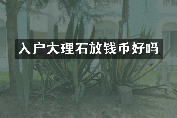 入户大理石放钱币好吗