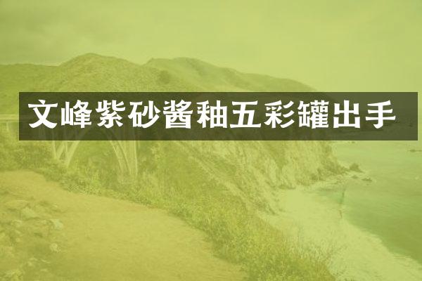 文峰紫砂酱釉五彩罐出手