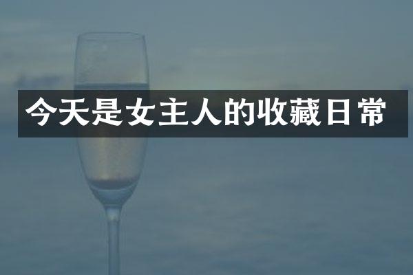 今天是女主人的收藏日常
