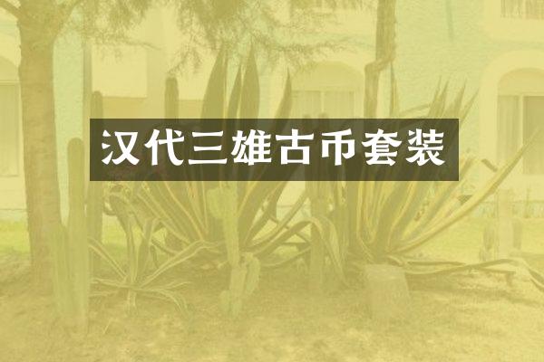 汉代三雄古币套装
