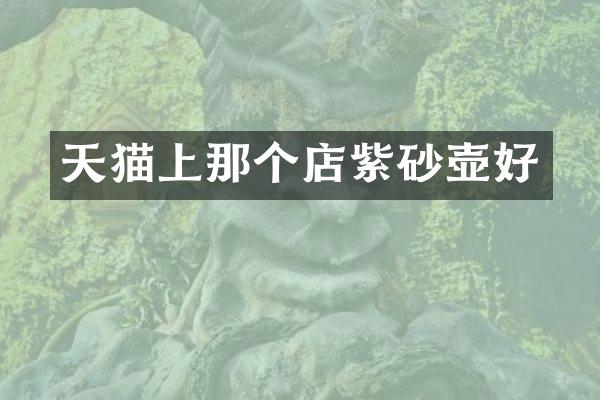 天猫上那个店紫砂壶好