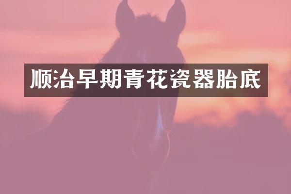 顺治早期青花瓷器胎底