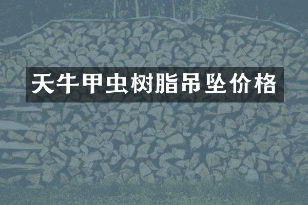 天牛甲虫树脂吊坠价格