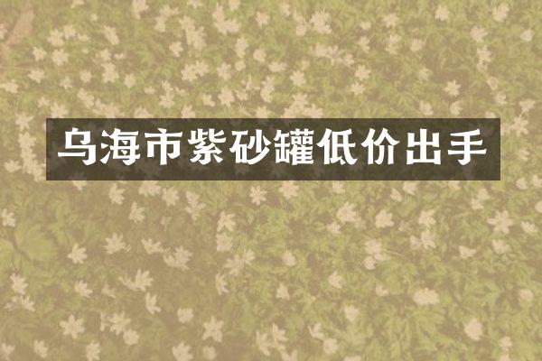 乌海市紫砂罐低价出手