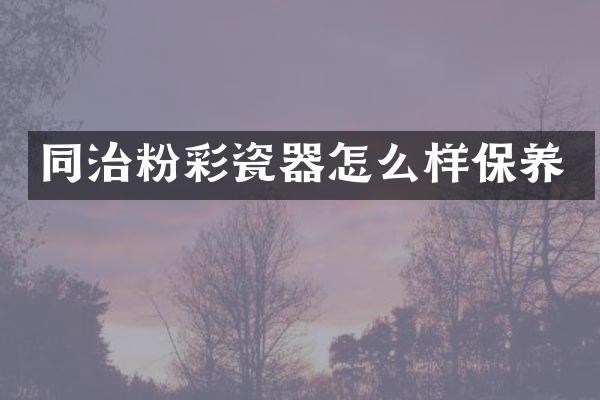 同治粉彩瓷器怎么样保养