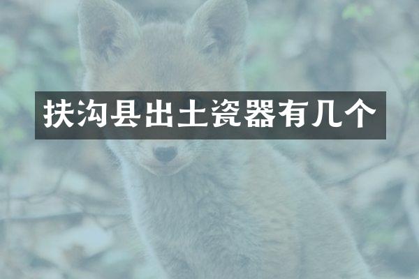 扶沟县出土瓷器有几个