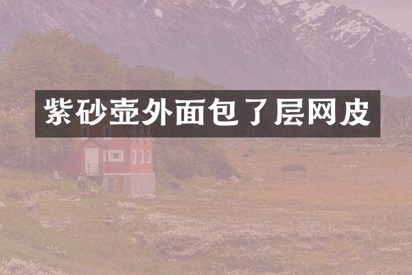 紫砂壶外面包了层网皮