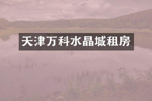 天津万科水晶城租房