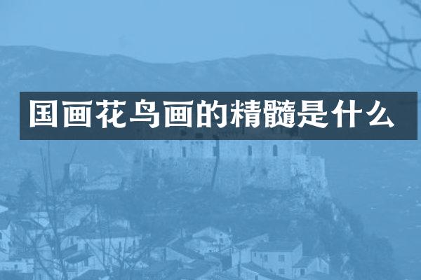 国画花鸟画的精髓是什么