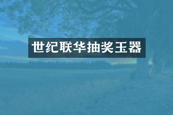 世纪联华抽奖玉器