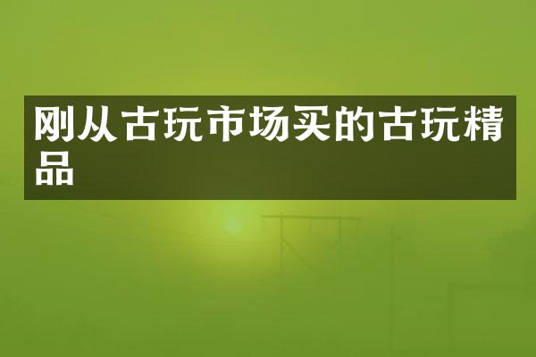 刚从古玩市场买的古玩精品