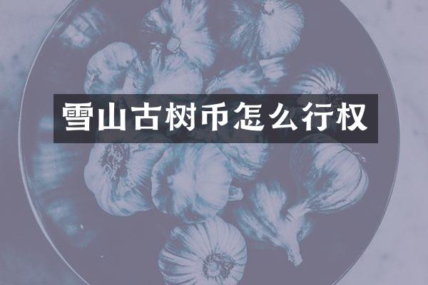雪山古树币怎么行权