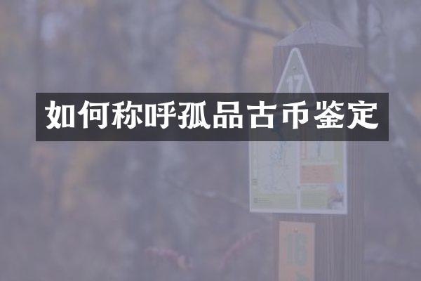 如何称呼孤品古币鉴定