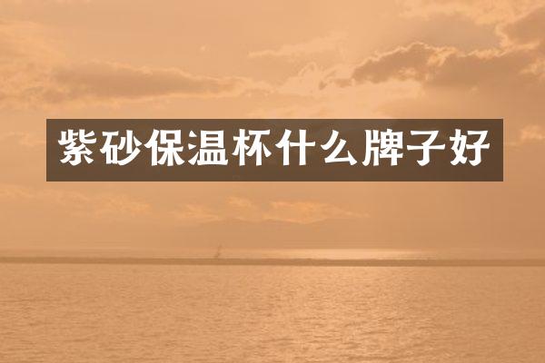 紫砂保温杯什么牌子好