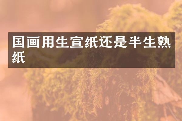 国画用生宣纸还是半生熟纸