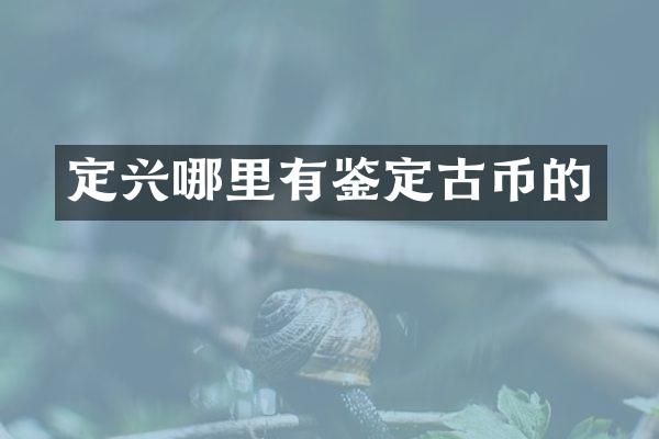 定兴哪里有鉴定古币的