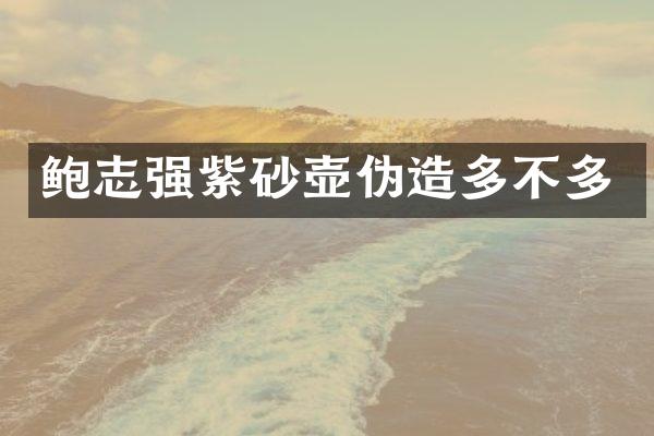 鲍志强紫砂壶伪造多不多