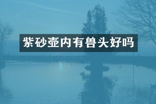 紫砂壶内有兽头好吗