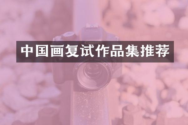 中国画复试作品集推荐