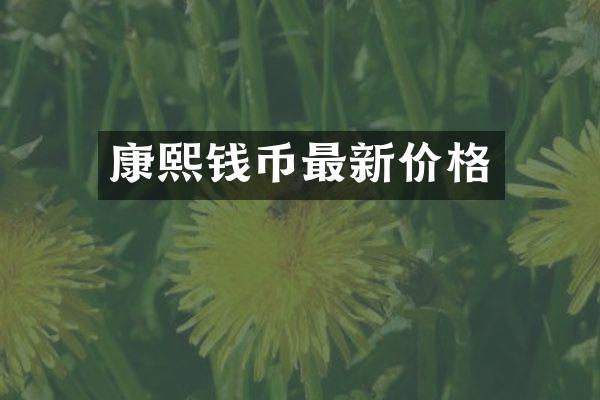 康熙钱币最新价格