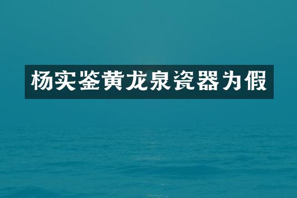 杨实鉴黄龙泉瓷器为假