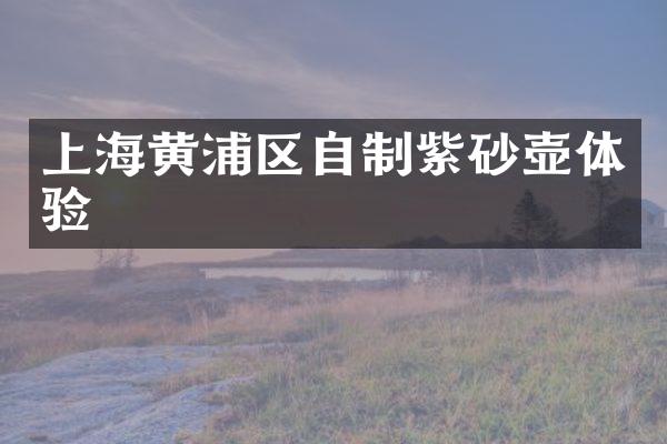 上海黄浦区自制紫砂壶体验