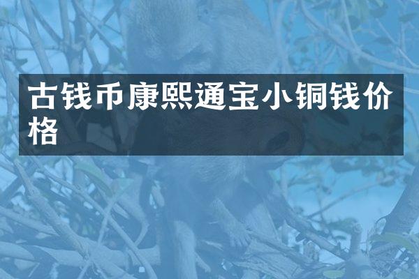 古钱币康熙通宝小铜钱价格