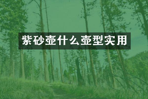 紫砂壶什么壶型实用