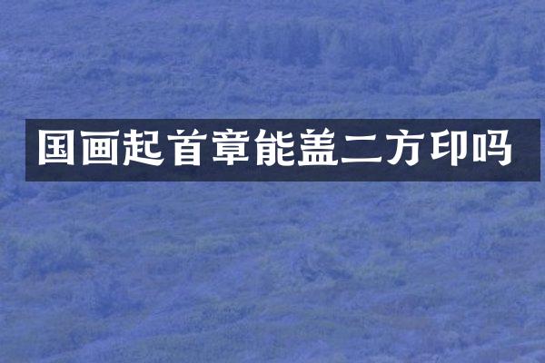 国画起首章能盖二方印吗