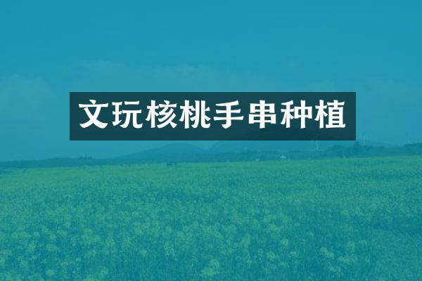 文玩核桃手串种植