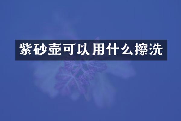 紫砂壶可以用什么擦洗