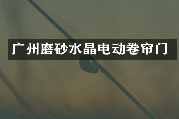 广州磨砂水晶电动卷帘门