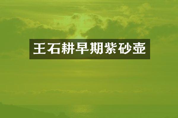 王石耕早期紫砂壶