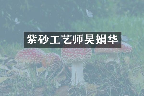 紫砂工艺师吴娟华
