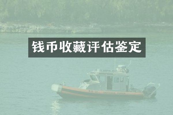 钱币收藏评估鉴定
