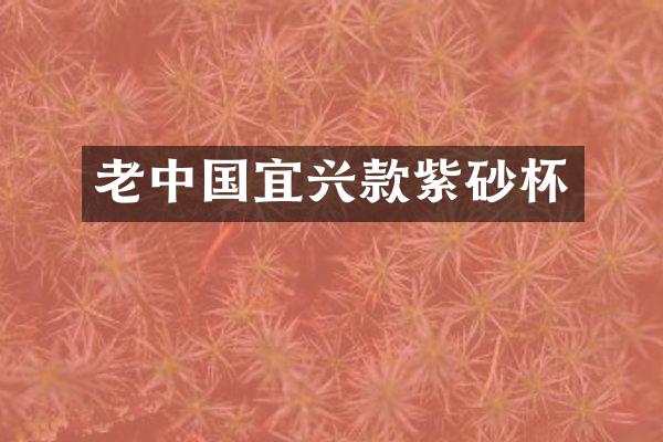 老中国宜兴款紫砂杯