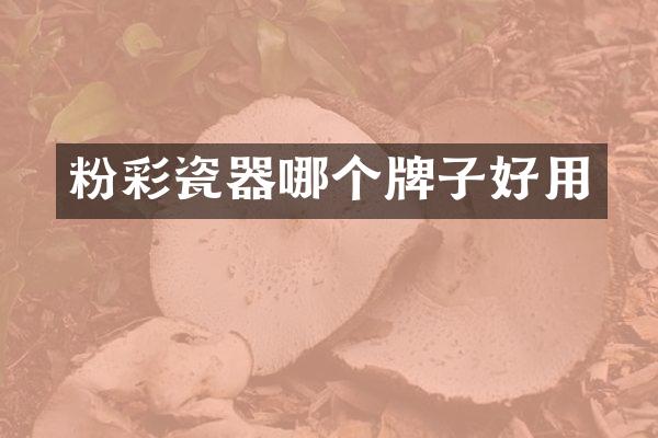 粉彩瓷器哪个牌子好用