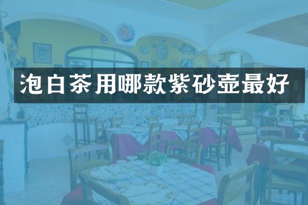 泡白茶用哪款紫砂壶最好